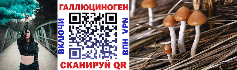 купить наркотик  Благовещенск  Галлюциногенные грибы MAGIC MUSHROOMS 