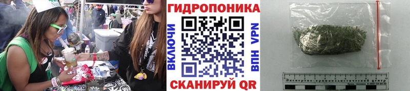 Конопля планчик  Благовещенск 